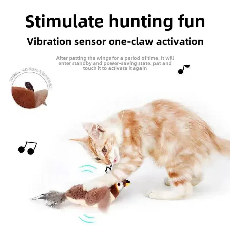 Cat Collection