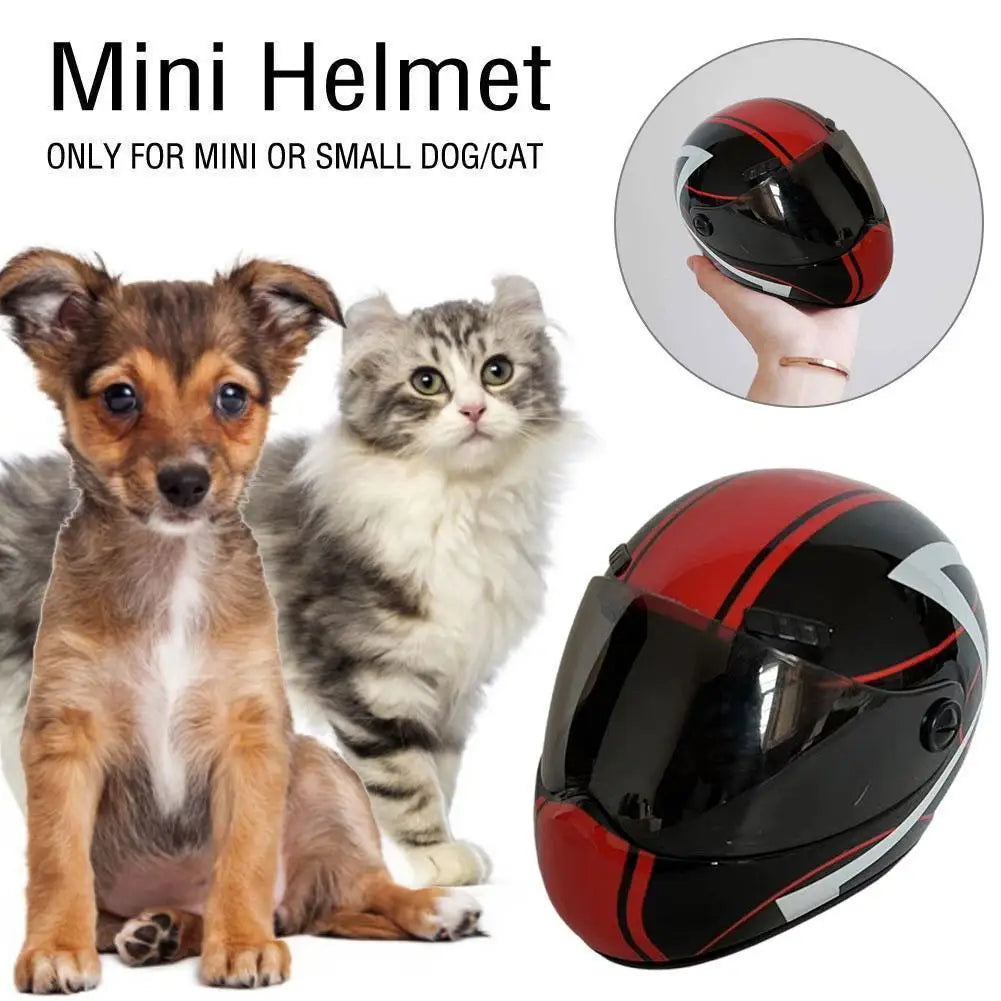 DIY Pet Helmets,Cat Helmet,Dog Helmet-Outdoor Mini Head Protecting Safe Hat,Pet Photo Props Accessorie,Mini Motorcycle Helmet