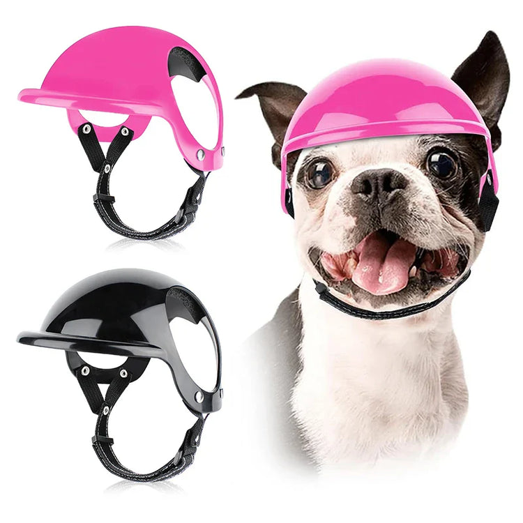 Caschi moto Occhiali Cane Gatto