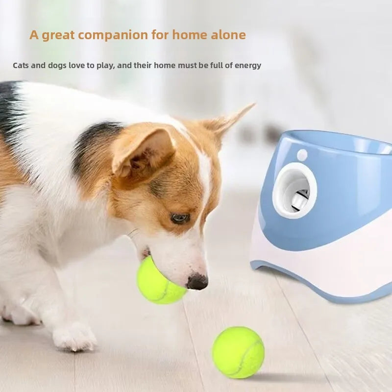 Automatic Dog Ball Launcher for Small to Medium Dogs,Tennis Launcher pet training,Indoor/Outdoor Interactive Toy