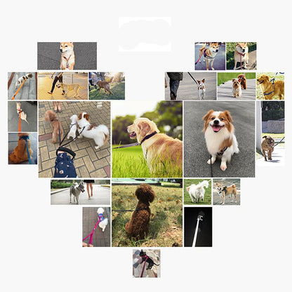 Nylon Dog Training Leashes Walking Pet Leash Long Lanyard Traction Rope for Small Large Dogs Lead Item