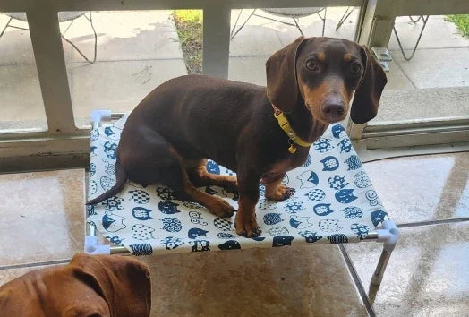 Pet Elevated Bed for Dogs bed Cat Folding Pet Camping Bed Cat House Portable Removable Four Seasons Dog Cat Bed Cats Accessories